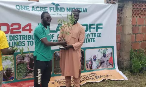 From trees to harvest: how one GIF grantee is increasing climate resilience in Nigeria Image